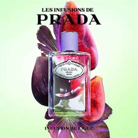 prada infusion de figue fragrantica